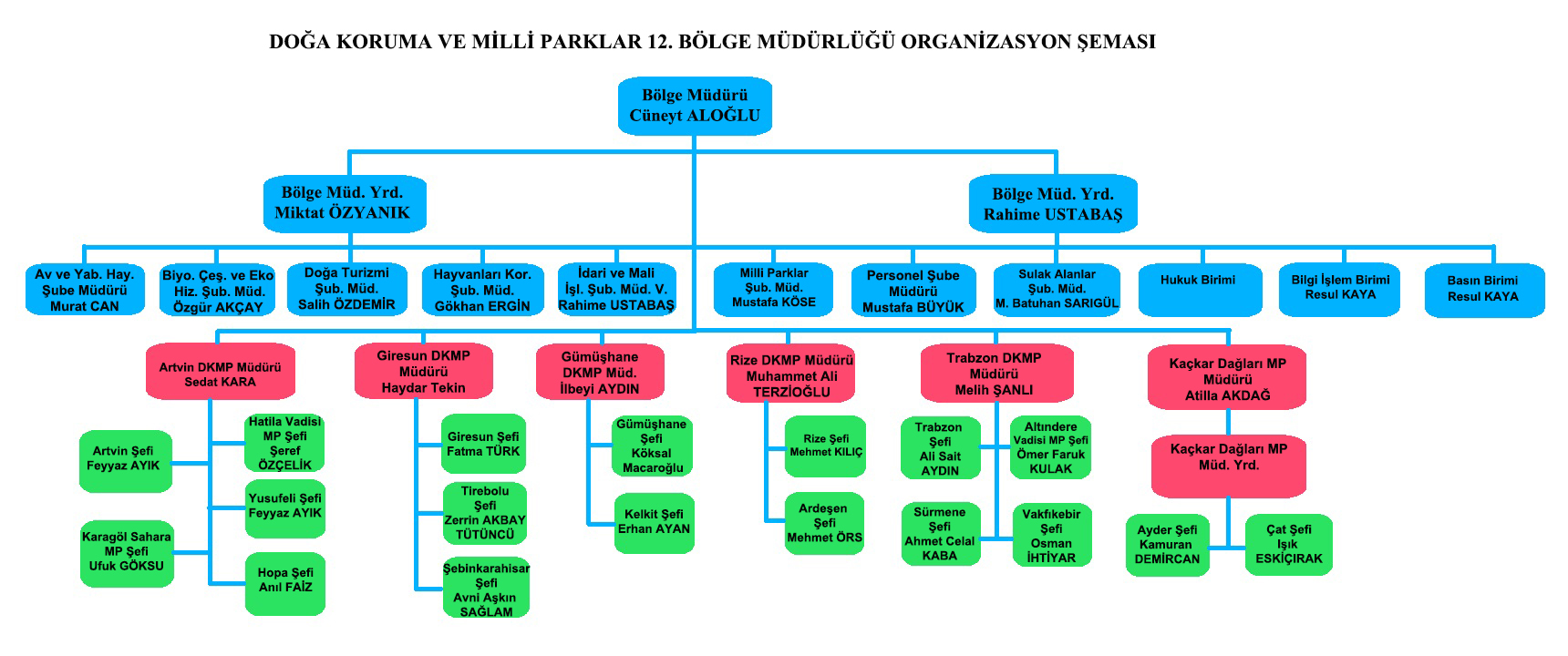 organizasyon şeması 18.02.2026 son.jpg