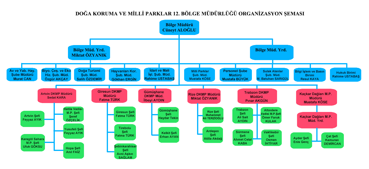 organizasyon şeması 23.10.2025.jpg